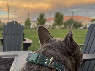 Ex Novo Brewing Company