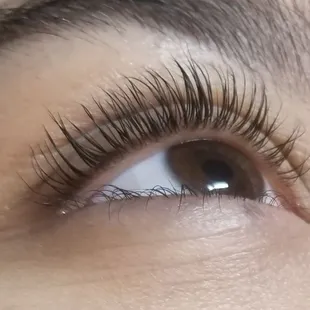 Lash lift by Jen