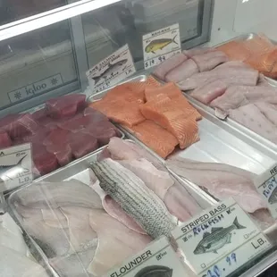 a display case of fish