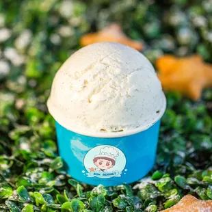 Vanilla Ice Cream