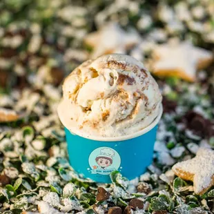 Coconut Fudge Ice Cream