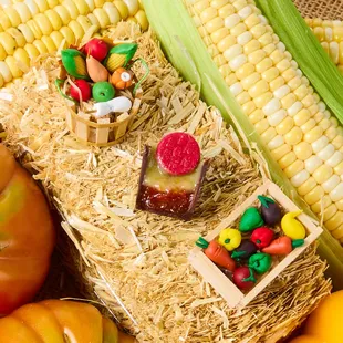 Tomato &amp; Corn from the Granor Farm Fall Collection Collab!