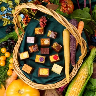 Bon Bon Bon x Granor Farm Fall Collection! Pre-orders open on 9/4/2024!