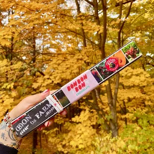 Fall Collections will remain in stock through October!