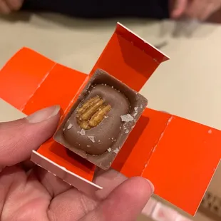 Inside of Swimming Turtle