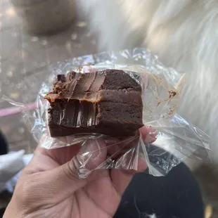 a hand holding a piece of chocolate cake