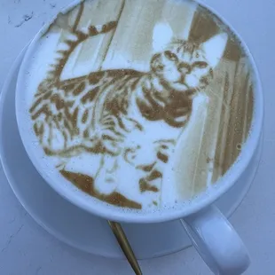 My beautiful cat on a delicious vanilla latte