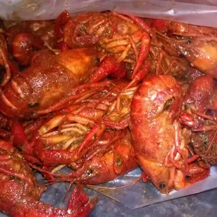 Hugeee and succulent