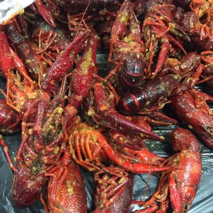 oysters and mussels, oysters, food, mussels, shellfish