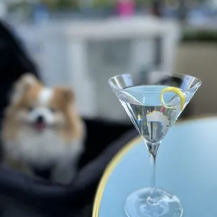 Belle Chasse Vodka, shaken w/ a lemon twist ($14)