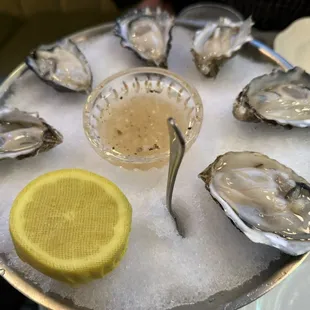 Oysters