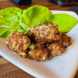 Alligator bites