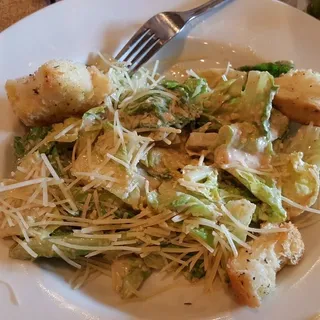 Large Salad (no protein)