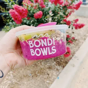 Hiwassee Bowl: Pitaya , housemade granola, kiwi, and blueberry!