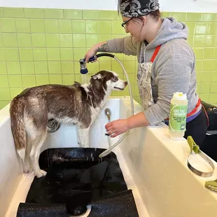 Bath time made easy - great smelling shampoo &amp; easy-to-use hose