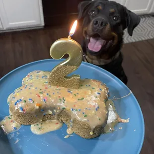 They sell easy-to-use doggy cake mix that you can cook in your microwave!