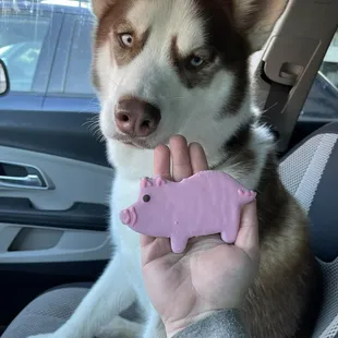 Super cute cookies for your pups!