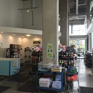 Towels to dry your dog after a bath