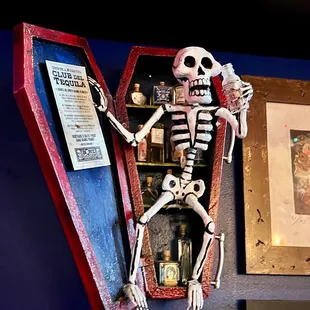 a skeleton in a coffin