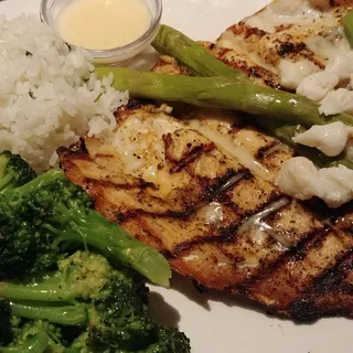 Rainbow Trout