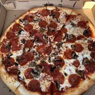 Large Pepperoni and Mushroom Pizza