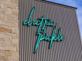 Electric Pickle