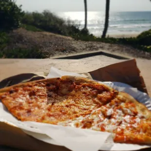 Cheese pizza &amp; Buffalo chicken