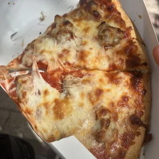 Slice of sausage