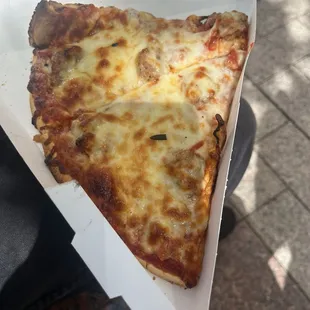 Slice of sausage