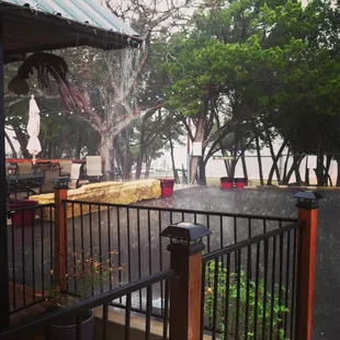 Rainy day at bonitaville.