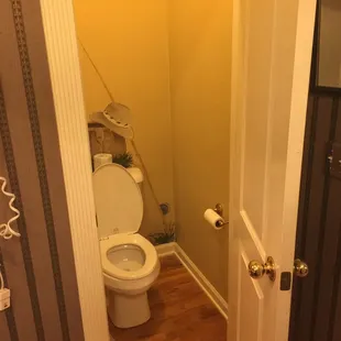 Toilet in a Closet-Sized Room!