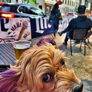 Outside seating is perfect for beer and puppy watching.