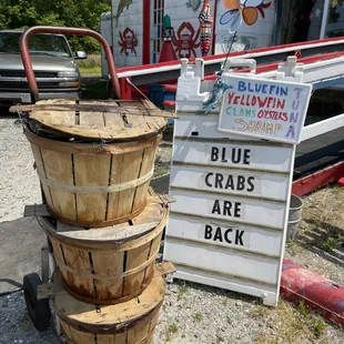 Blue crabs are back in season!
