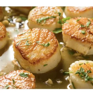 Fresh Dry Packed Sea Scallops