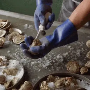 Salty Seaside Oysters