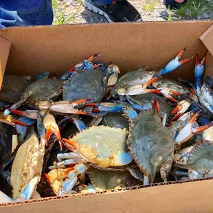 nice crabs! and nice people running this place