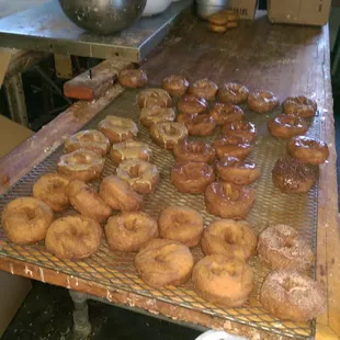 Great coffee and donuts.Specialty orders a priority! Open every day from 530am to 1100  Early birdz get best CHOICE!