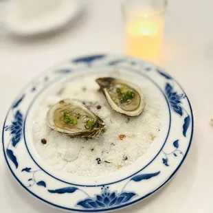 Oysters