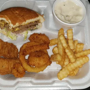 Double Cheese burger, Steak Finger dinner with Fries and Onions Rings.