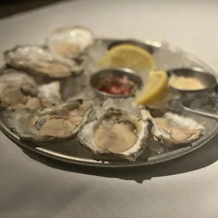 Oysters