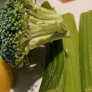 Crab dip dipping items. Unrinsed. Actual black gunk on food.