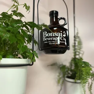 a hanging planter and a bottle of bonsai