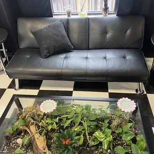 Couch number two!
