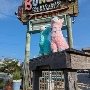 two teddy bears sitting on a bench in front of a bonzer shack sign