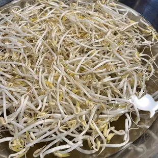 Fresh bean sprouts-soaking in salt and vinegar to rinse and clean