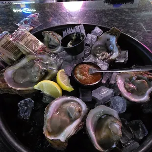 shellfish, mussels, oysters, food, oysters and mussels