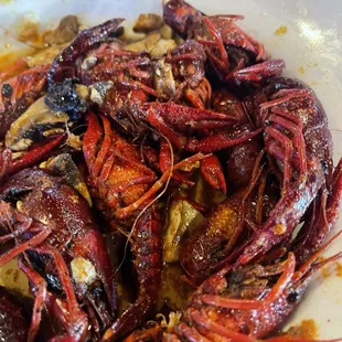 Mudbugs and shrooms! Awesome!