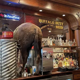 a stuffed bear at the bar