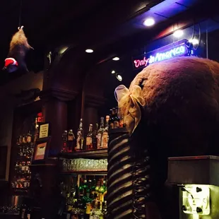 Is he playing possum??