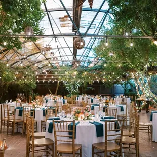 Dinner in greenhouse